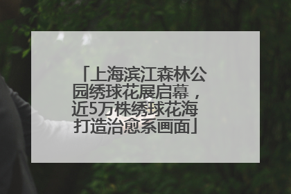 上海滨江森林公园绣球花展启幕，近5万株绣球花海打造治愈系画面