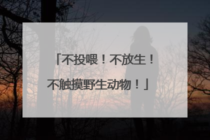 不投喂！不放生！不触摸野生动物！