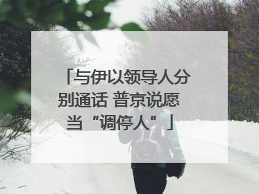 与伊以领导人分别通话 普京说愿当“调停人”