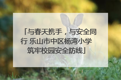 与春天携手，与安全同行 乐山市中区杨湾小学筑牢校园安全防线