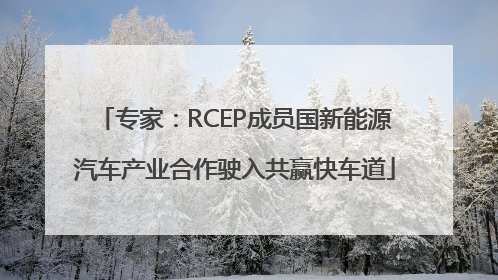 专家：RCEP成员国新能源汽车产业合作驶入共赢快车道