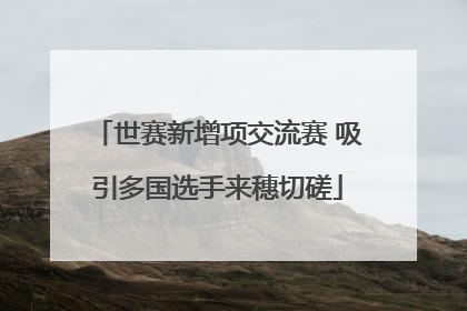 世赛新增项交流赛 吸引多国选手来穗切磋