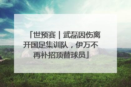 世预赛｜武磊因伤离开国足集训队，伊万不再补招顶替球员