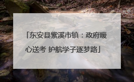 东安县紫溪市镇：政府暖心送考 护航学子逐梦路