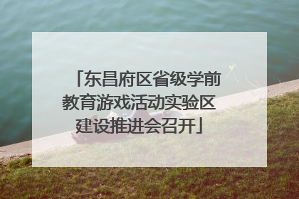 东昌府区省级学前教育游戏活动实验区建设推进会召开