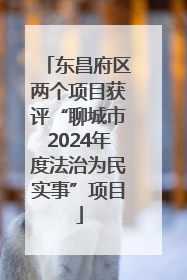 东昌府区两个项目获评“聊城市2024年度法治为民实事”项目