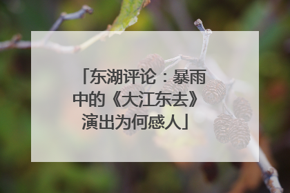 东湖评论：暴雨中的《大江东去》演出为何感人