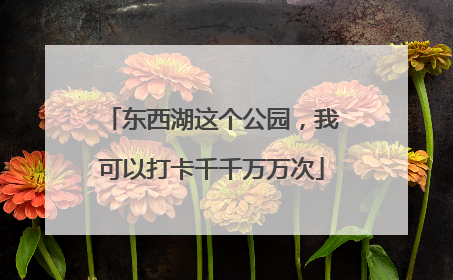 东西湖这个公园，我可以打卡千千万万次