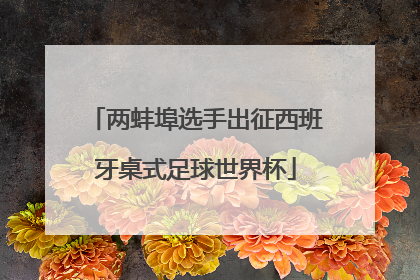 两蚌埠选手出征西班牙桌式足球世界杯