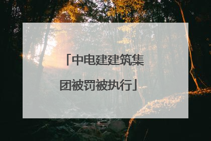 中电建建筑集团被罚被执行