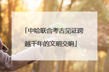 中哈联合考古见证跨越千年的文明交响