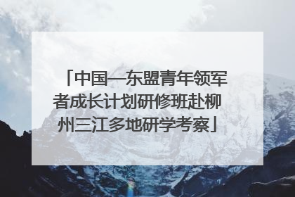 中国—东盟青年领军者成长计划研修班赴柳州三江多地研学考察