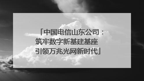 中国电信山东公司：筑牢数字新基建基座 引领万兆光网新时代
