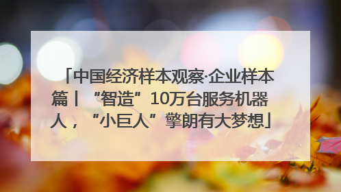 中国经济样本观察·企业样本篇丨“智造”10万台服务机器人，“小巨人”擎朗有大梦想