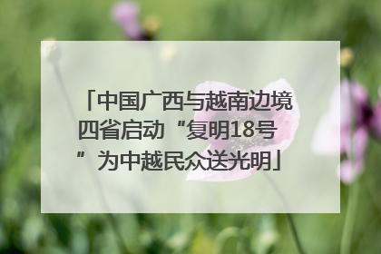 中国广西与越南边境四省启动“复明18号”为中越民众送光明