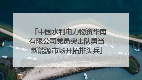 中国水利电力物资华南有限公司党员突击队勇当新能源市场开拓排头兵
