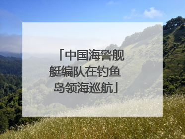 中国海警舰艇编队在钓鱼岛领海巡航