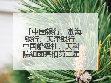 中国银行、渤海银行、天津银行、中国船级社、天科院组团亮相第三届天津国际航运展 输出航运服务“中国方案”