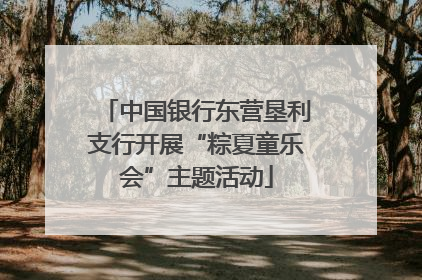 中国银行东营垦利支行开展“粽夏童乐会”主题活动