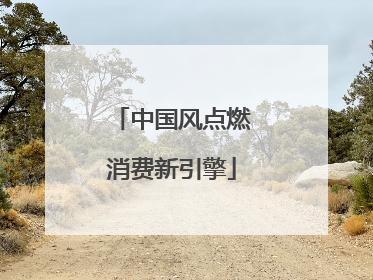 中国风点燃消费新引擎