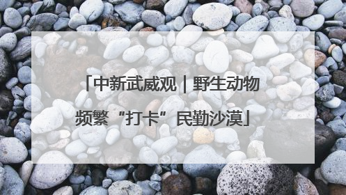 中新武威观｜野生动物频繁“打卡”民勤沙漠