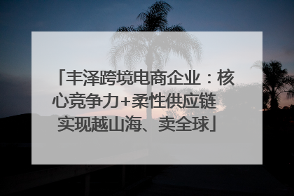 丰泽跨境电商企业：核心竞争力+柔性供应链 实现越山海、卖全球