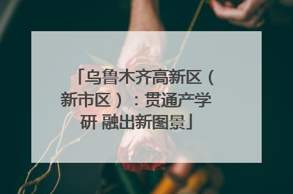 乌鲁木齐高新区（新市区）：贯通产学研 融出新图景