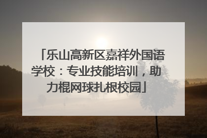 乐山高新区嘉祥外国语学校：专业技能培训，助力棍网球扎根校园