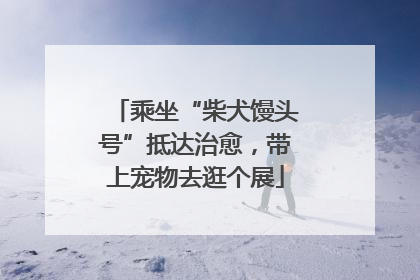 乘坐“柴犬馒头号”抵达治愈，带上宠物去逛个展