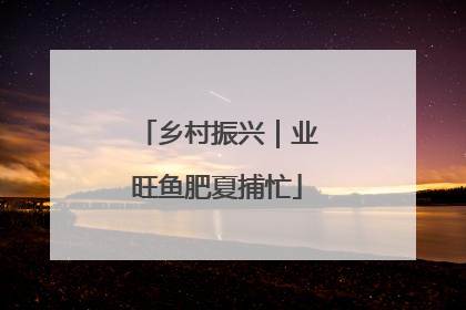 乡村振兴｜业旺鱼肥夏捕忙
