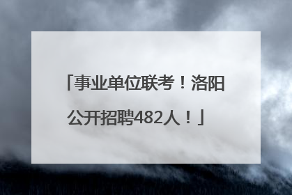 事业单位联考！洛阳公开招聘482人！