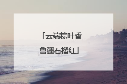 云端粽叶香 鲁疆石榴红