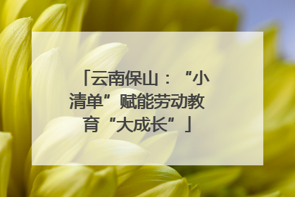 云南保山：“小清单”赋能劳动教育“大成长”