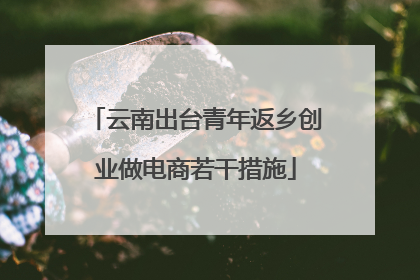 云南出台青年返乡创业做电商若干措施