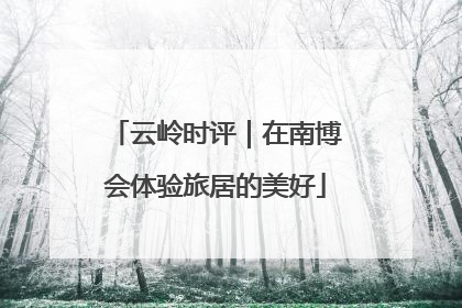 云岭时评｜在南博会体验旅居的美好
