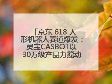 京东 618 人形机器人赛道爆发：灵宝CASBOT以30万级产品力搅动行业新变局