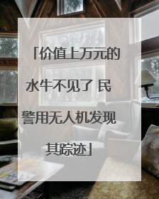 价值上万元的水牛不见了 民警用无人机发现其踪迹
