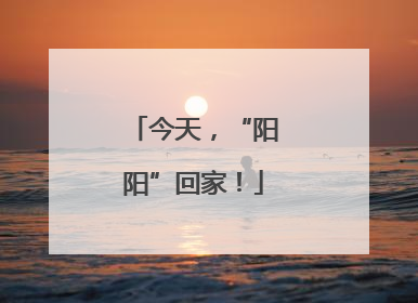 今天，“阳阳”回家！