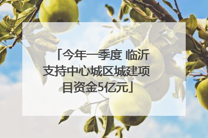 今年一季度 临沂支持中心城区城建项目资金5亿元