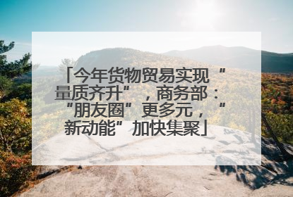 今年货物贸易实现“量质齐升”，商务部：“朋友圈”更多元，“新动能”加快集聚