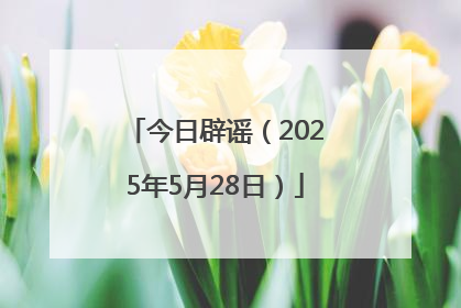 今日辟谣（2025年5月28日）