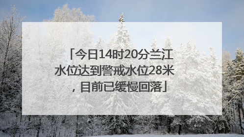 今日14时20分兰江水位达到警戒水位28米，目前已缓慢回落