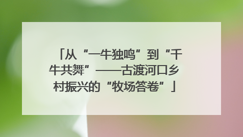 从“一牛独鸣”到“千牛共舞”——古渡河口乡村振兴的“牧场答卷”