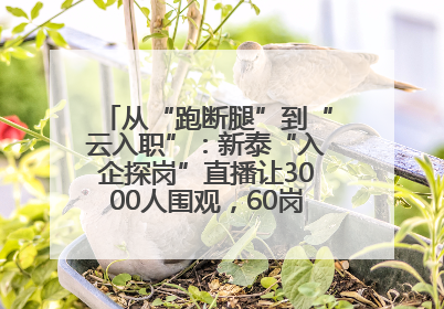 从“跑断腿”到“云入职”：新泰“入企探岗”直播让3000人围观，60岗位一周填满