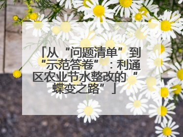 从“问题清单”到“示范答卷”：利通区农业节水整改的“蝶变之路”