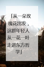 从一朵玫瑰花出发，这群年轻人从一花一叶走进东方哲学