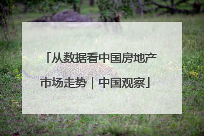 从数据看中国房地产市场走势｜中国观察