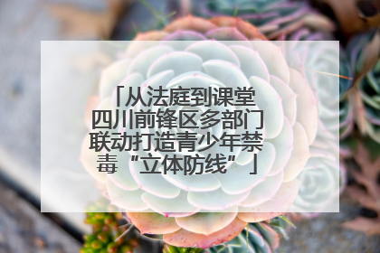 从法庭到课堂 四川前锋区多部门联动打造青少年禁毒“立体防线”