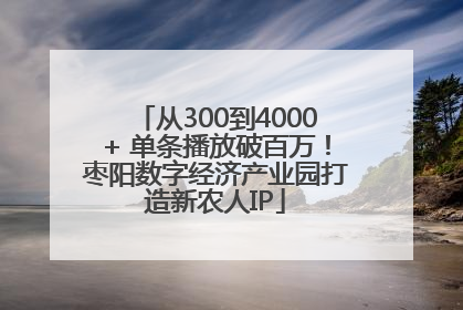 从300到4000+ 单条播放破百万！枣阳数字经济产业园打造新农人IP