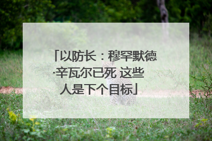 以防长：穆罕默德·辛瓦尔已死 这些人是下个目标